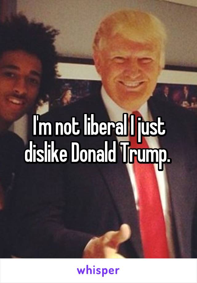 I'm not liberal I just dislike Donald Trump. 