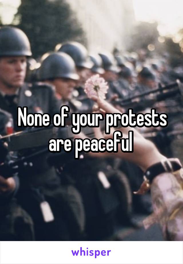 None of your protests are peaceful 