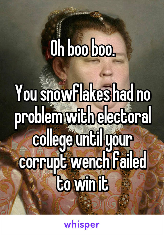 Oh boo boo.

You snowflakes had no problem with electoral college until your corrupt wench failed to win it