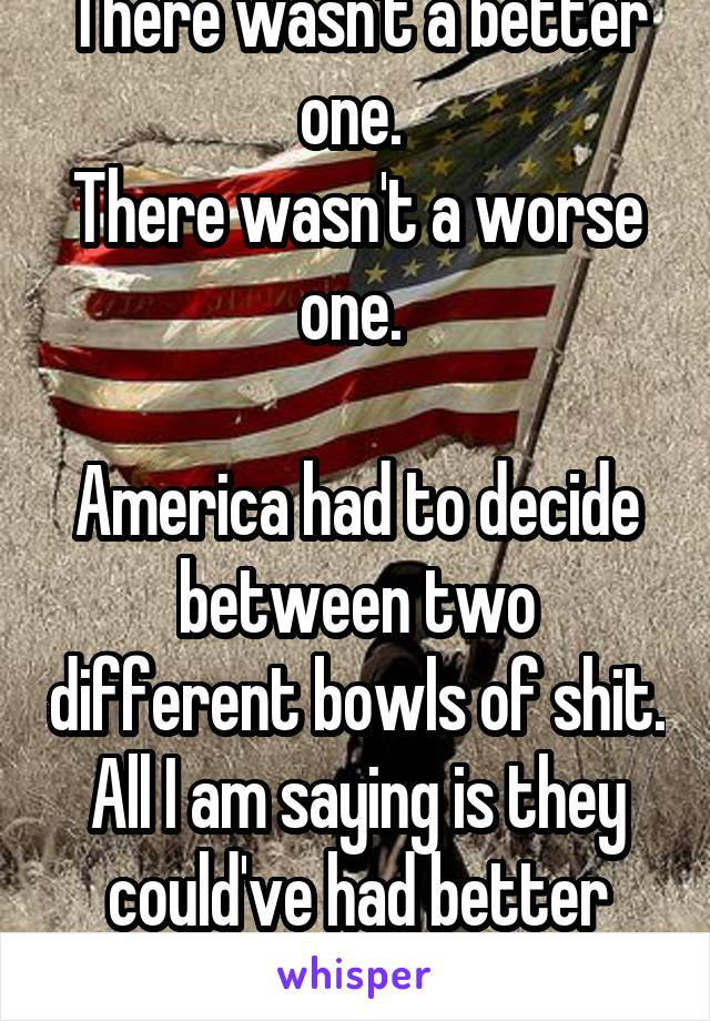 There wasn't a better one. 
There wasn't a worse one. 

America had to decide between two different bowls of shit. All I am saying is they could've had better candidates. 