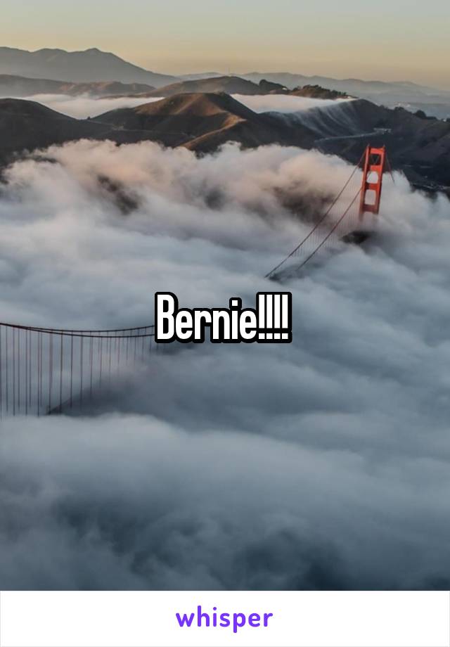 Bernie!!!! 