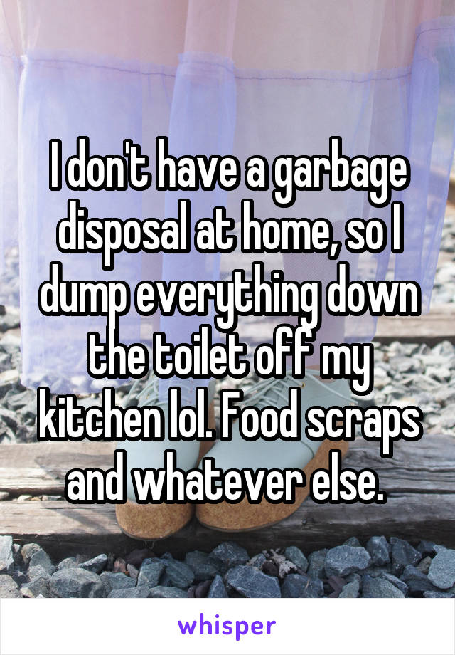 I don't have a garbage disposal at home, so I dump everything down the toilet off my kitchen lol. Food scraps and whatever else. 