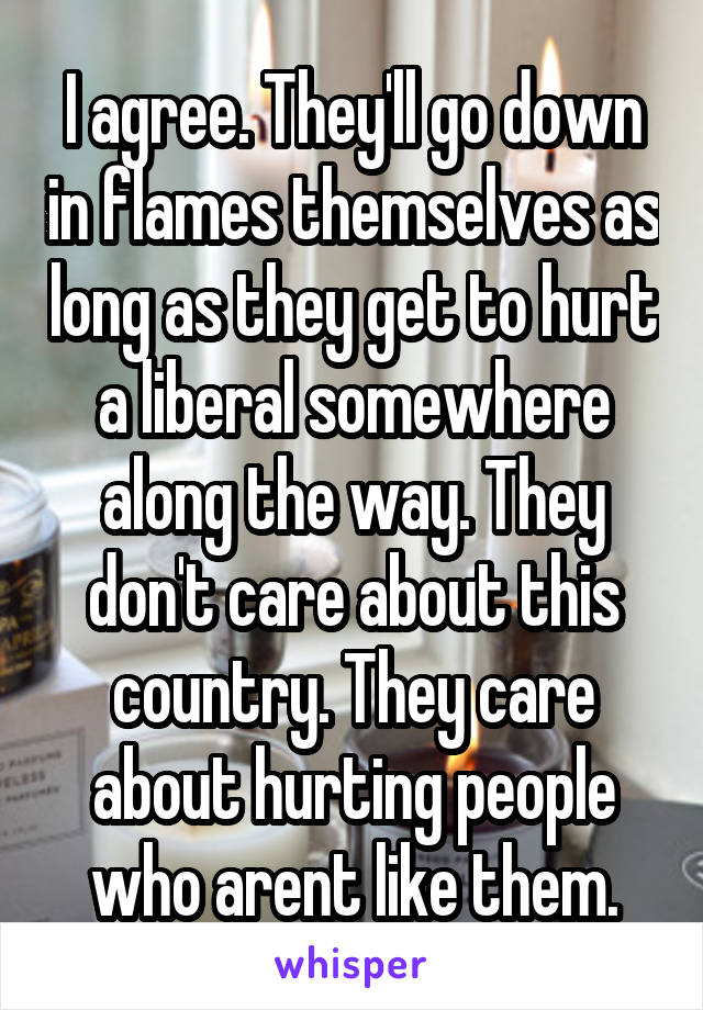 I agree. They'll go down in flames themselves as long as they get to hurt a liberal somewhere along the way. They don't care about this country. They care about hurting people who arent like them.