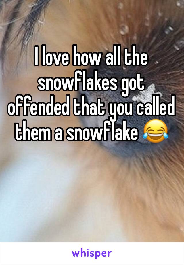 I love how all the snowflakes got offended that you called them a snowflake 😂