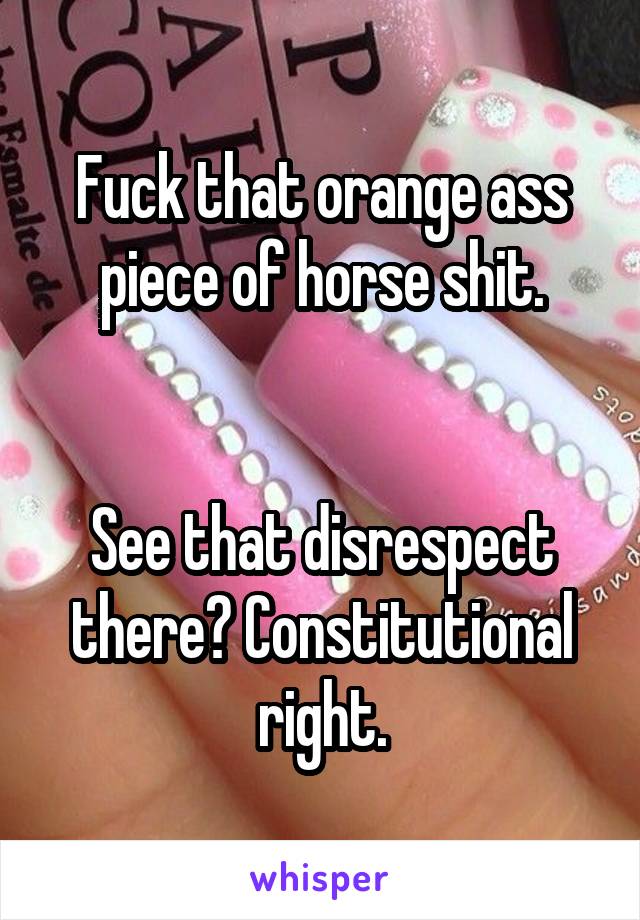 Fuck that orange ass piece of horse shit.


See that disrespect there? Constitutional right.