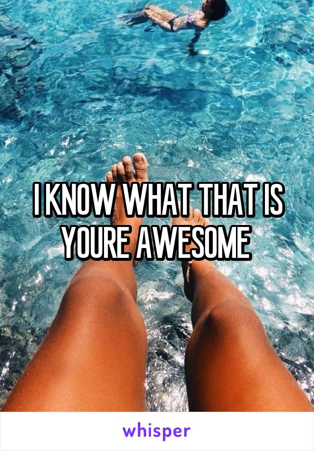 I KNOW WHAT THAT IS YOURE AWESOME 