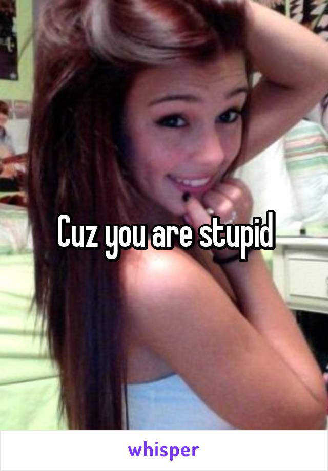 Cuz you are stupid