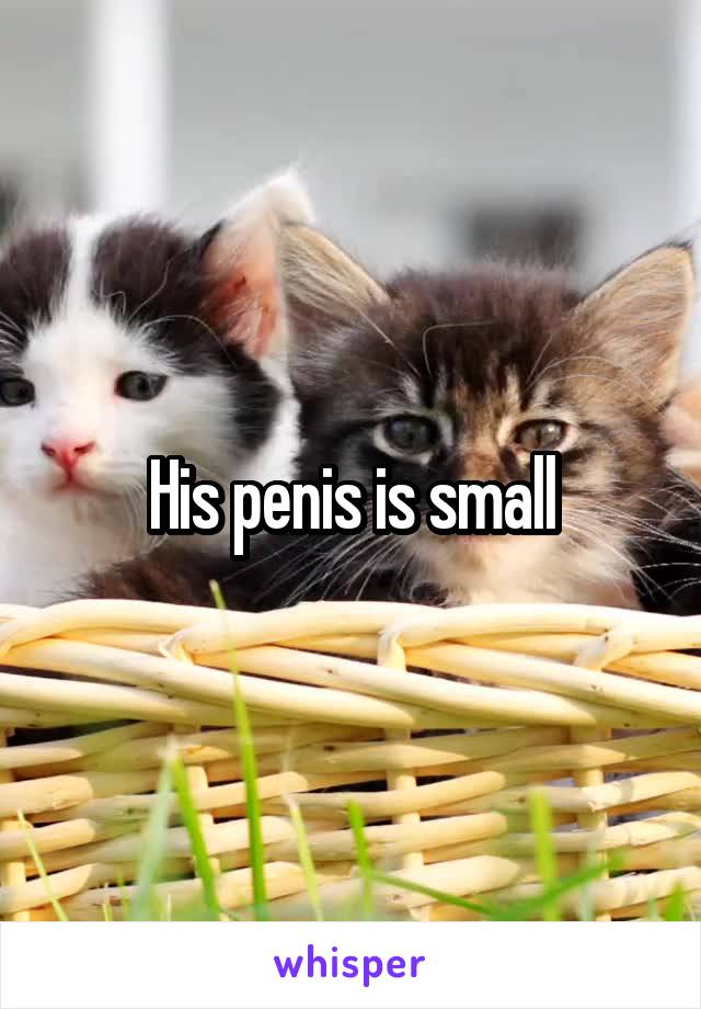 His penis is small