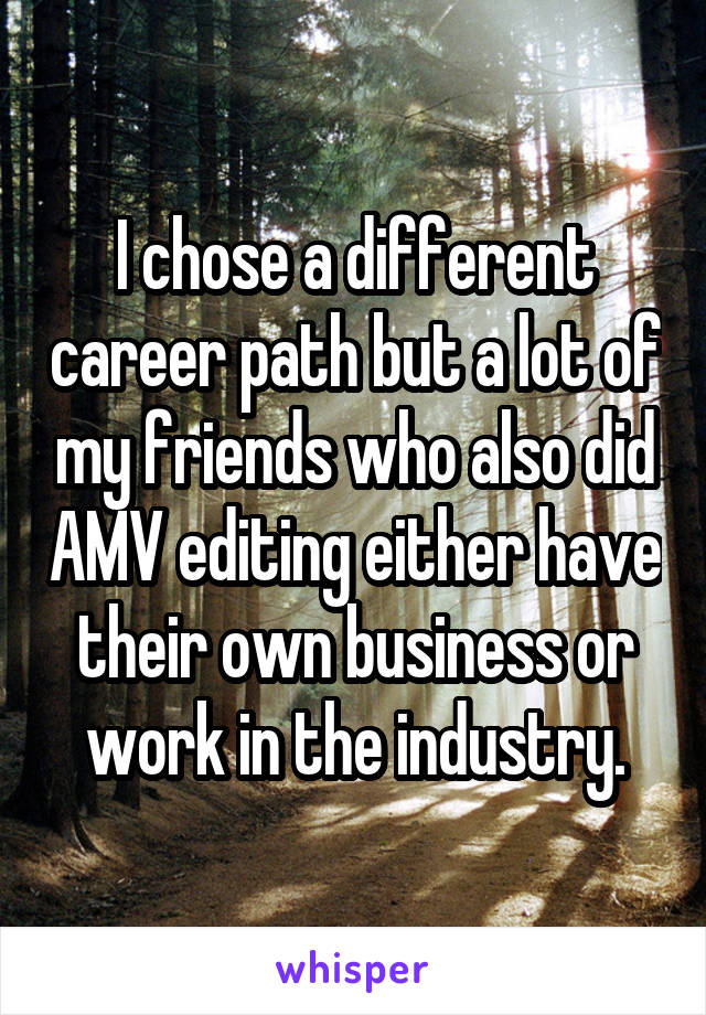 I chose a different career path but a lot of my friends who also did AMV editing either have their own business or work in the industry.