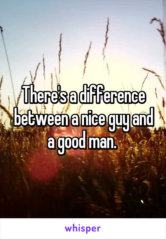 There's a difference between a nice guy and a good man. 