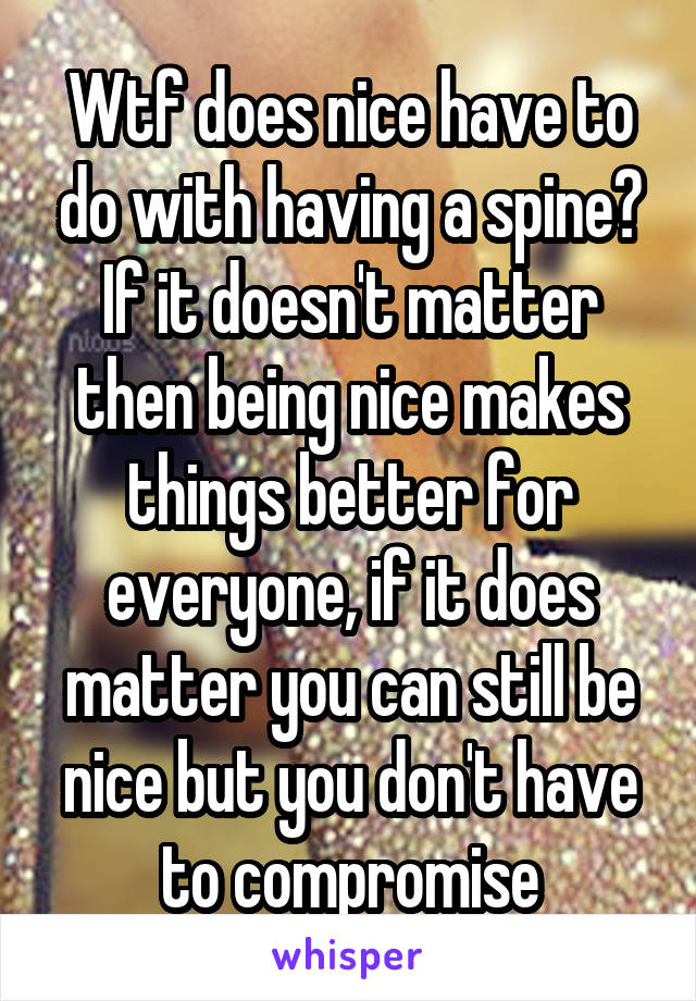 Wtf does nice have to do with having a spine? If it doesn't matter then being nice makes things better for everyone, if it does matter you can still be nice but you don't have to compromise