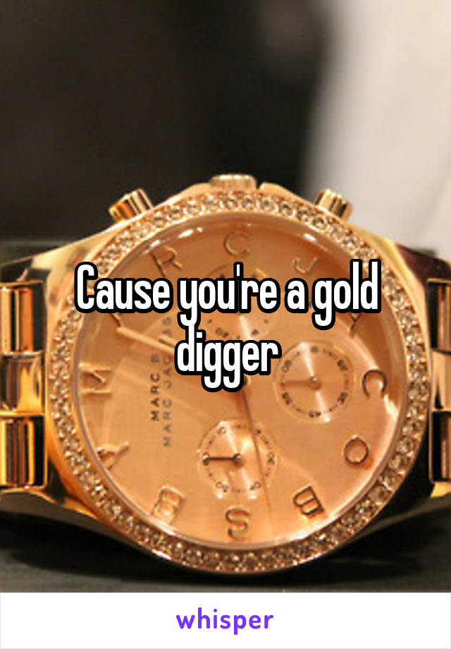 Cause you're a gold digger