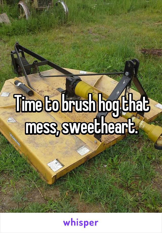 Time to brush hog that mess, sweetheart.