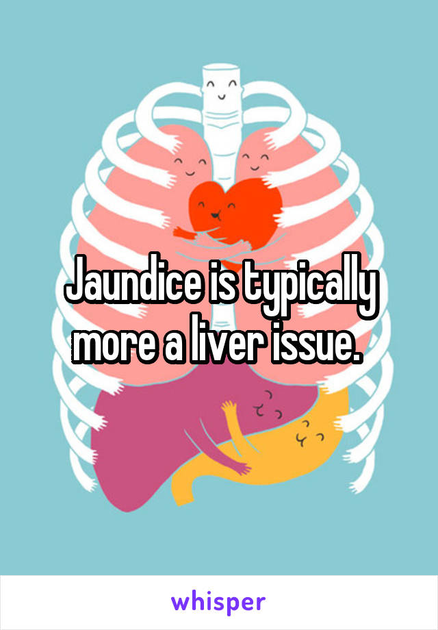 Jaundice is typically more a liver issue. 