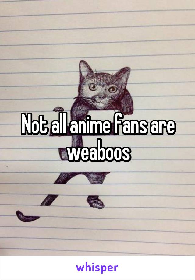 Not all anime fans are weaboos