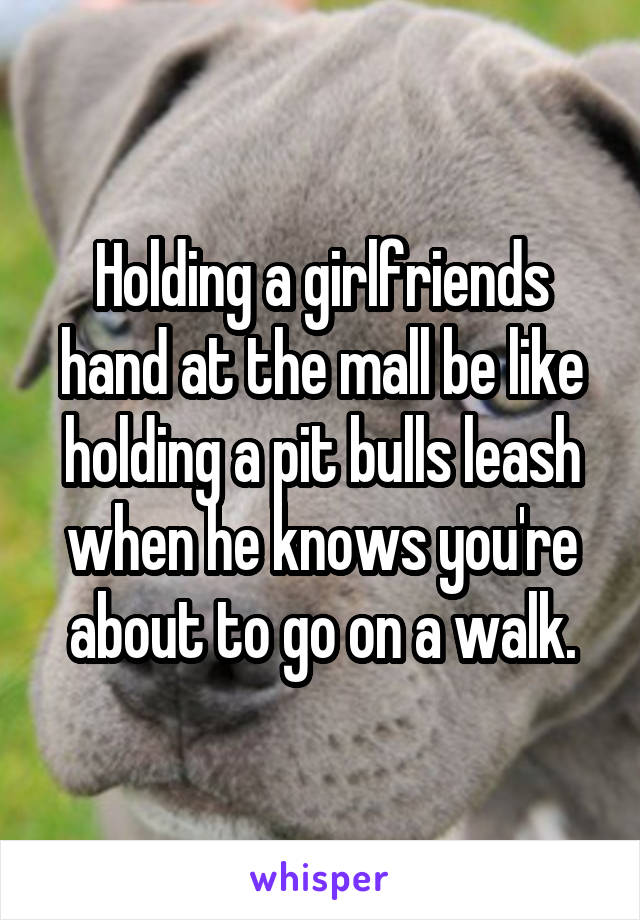 Holding a girlfriends hand at the mall be like holding a pit bulls leash when he knows you're about to go on a walk.