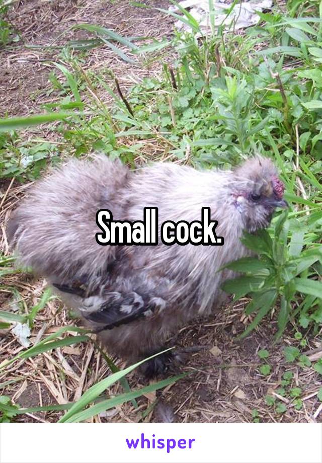 Small cock. 