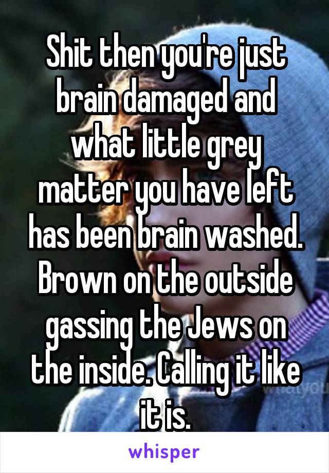 Shit then you're just brain damaged and what little grey matter you have left has been brain washed. Brown on the outside gassing the Jews on the inside. Calling it like it is.