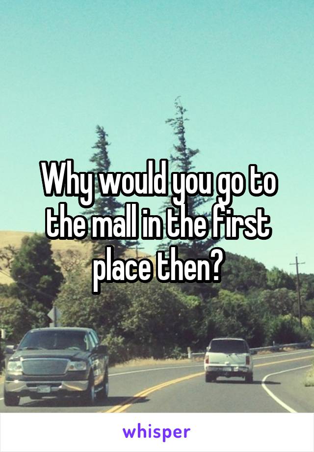 Why would you go to the mall in the first place then?