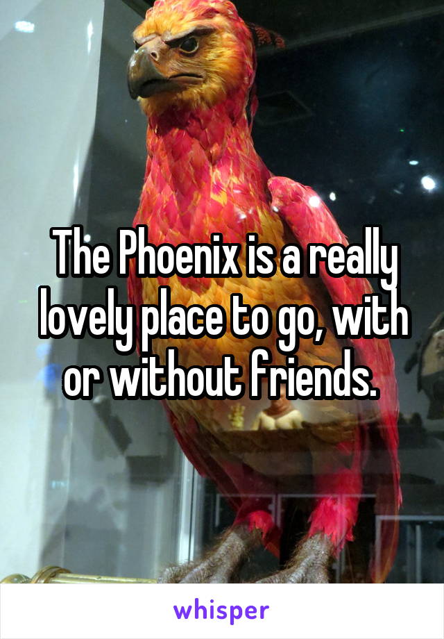 The Phoenix is a really lovely place to go, with or without friends. 