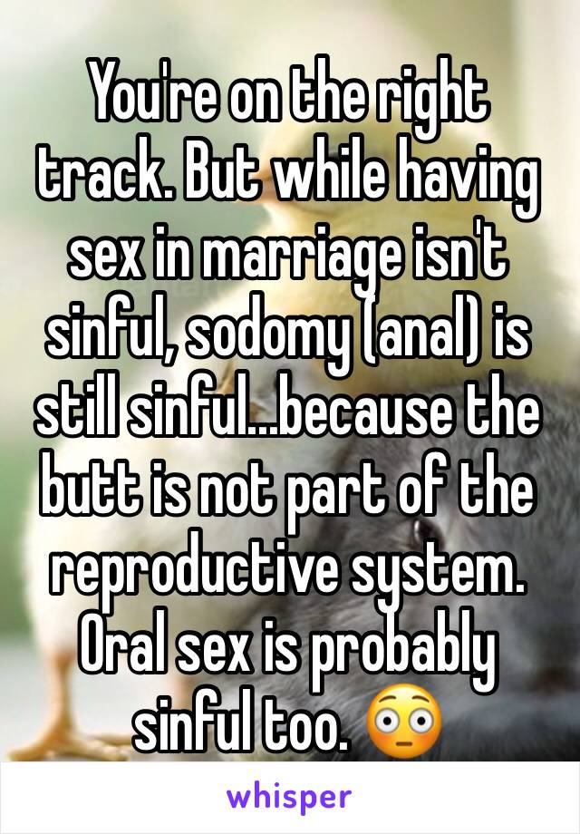 You're on the right track. But while having sex in marriage isn't sinful, sodomy (anal) is still sinful...because the butt is not part of the reproductive system.  Oral sex is probably sinful too. 😳