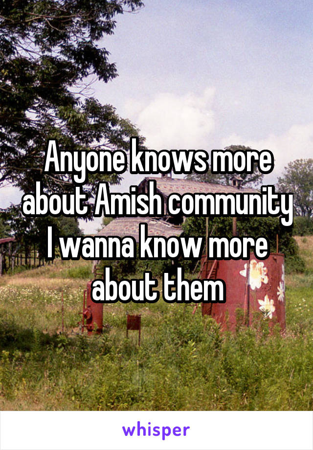 Anyone knows more about Amish community I wanna know more about them