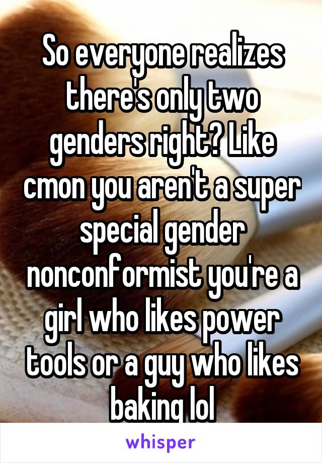 So everyone realizes there's only two genders right? Like cmon you aren't a super special gender nonconformist you're a girl who likes power tools or a guy who likes baking lol
