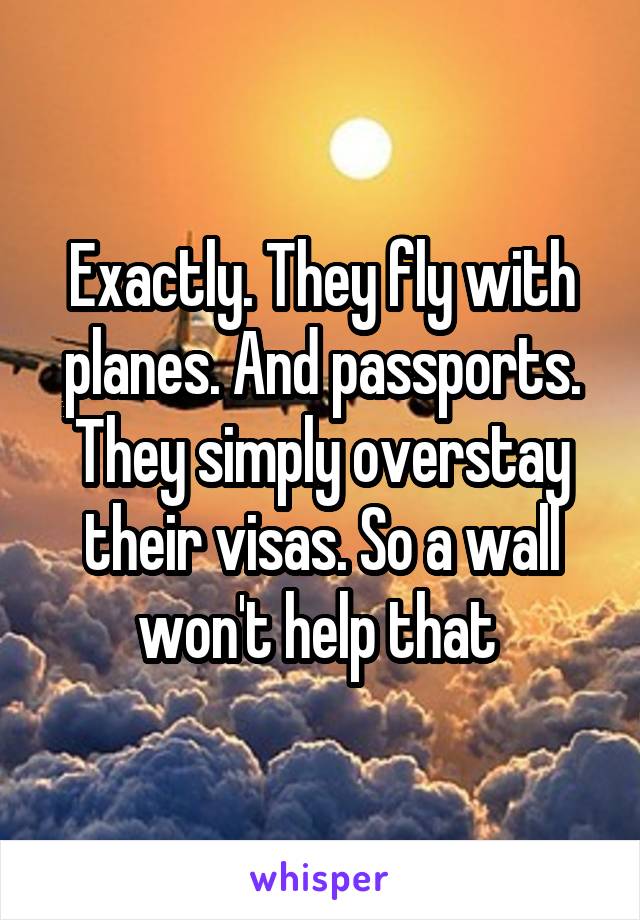 Exactly. They fly with planes. And passports. They simply overstay their visas. So a wall won't help that 