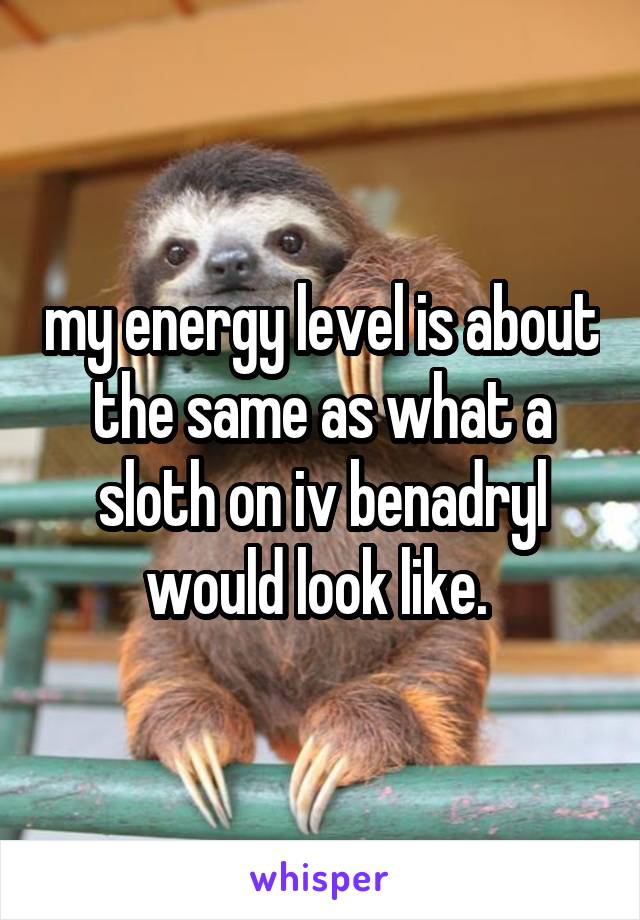 my energy level is about the same as what a sloth on iv benadryl would look like. 