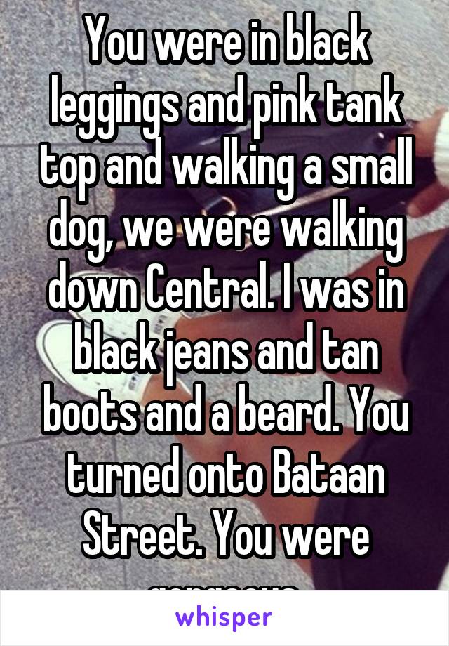 You were in black leggings and pink tank top and walking a small dog, we were walking down Central. I was in black jeans and tan boots and a beard. You turned onto Bataan Street. You were gorgeous.
