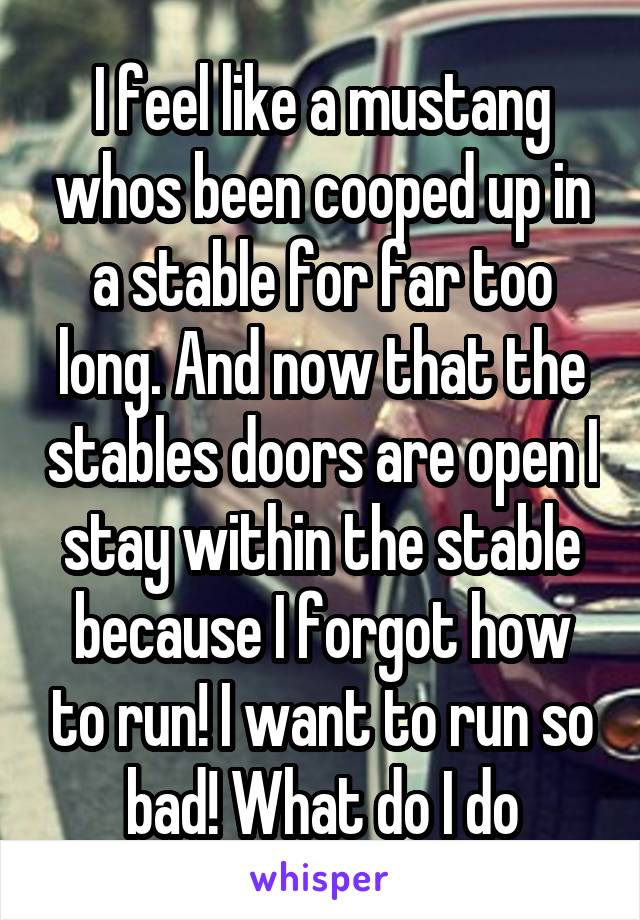 I feel like a mustang whos been cooped up in a stable for far too long. And now that the stables doors are open I stay within the stable because I forgot how to run! I want to run so bad! What do I do