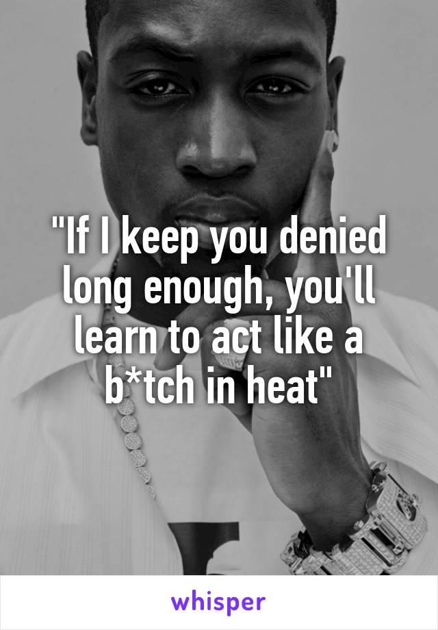 "If I keep you denied long enough, you'll learn to act like a b*tch in heat"