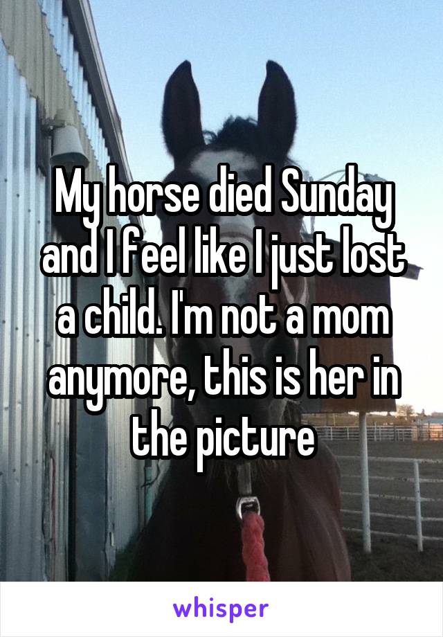 My horse died Sunday and I feel like I just lost a child. I'm not a mom anymore, this is her in the picture