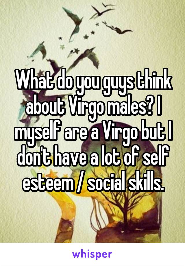 What do you guys think about Virgo males? I myself are a Virgo but I don't have a lot of self esteem / social skills.