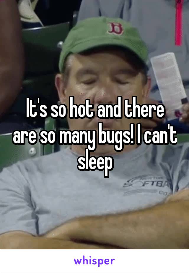 It's so hot and there are so many bugs! I can't sleep