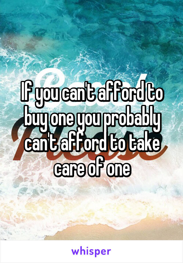 If you can't afford to buy one you probably can't afford to take care of one