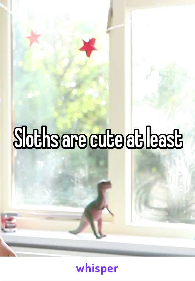 Sloths are cute at least