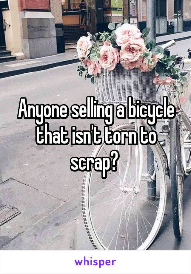 Anyone selling a bicycle that isn't torn to scrap? 