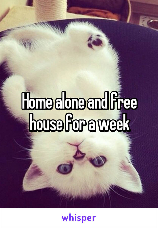 Home alone and free house for a week
