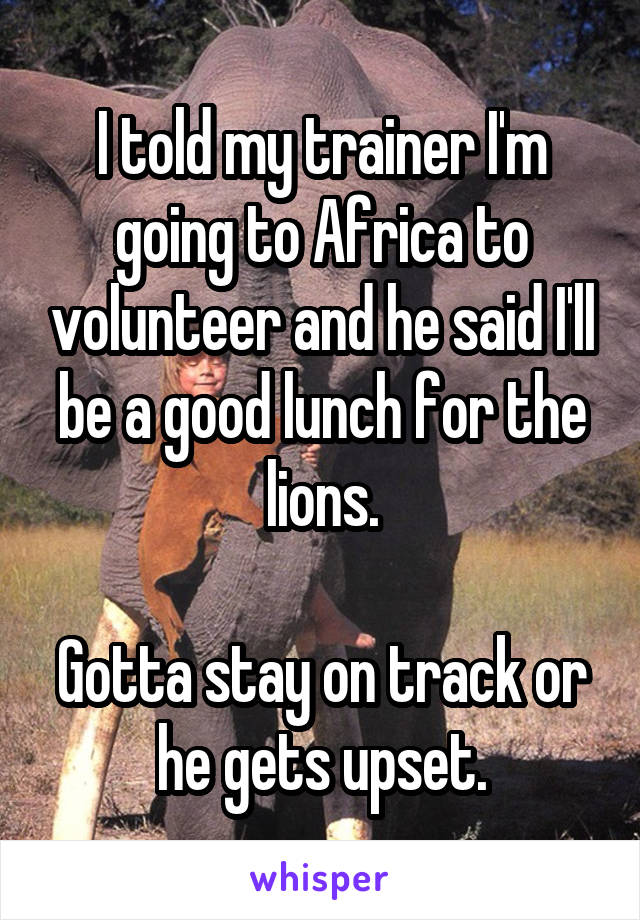 I told my trainer I'm going to Africa to volunteer and he said I'll be a good lunch for the lions.

Gotta stay on track or he gets upset.