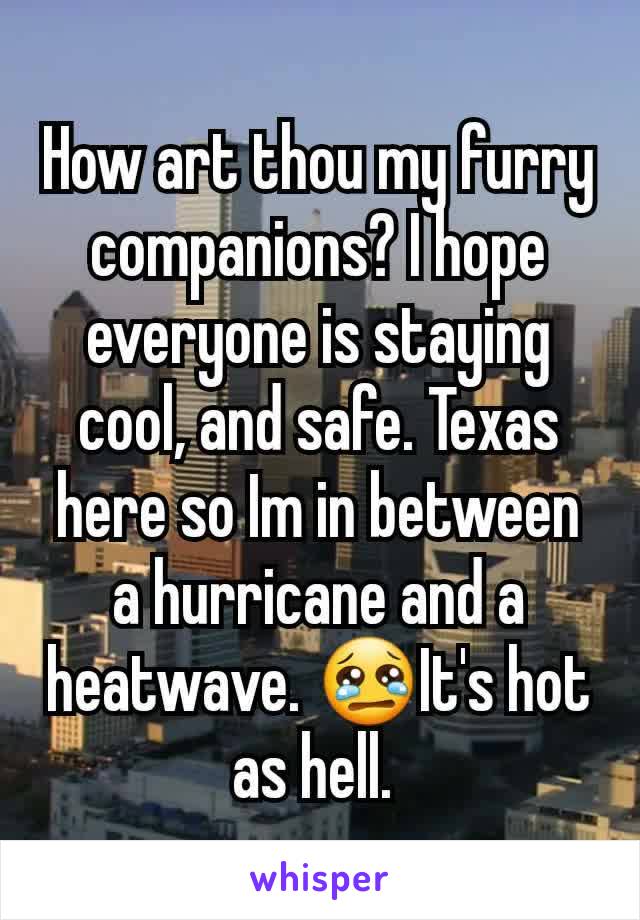 How art thou my furry companions? I hope everyone is staying cool, and safe. Texas here so Im in between a hurricane and a heatwave. 😢It's hot as hell. 