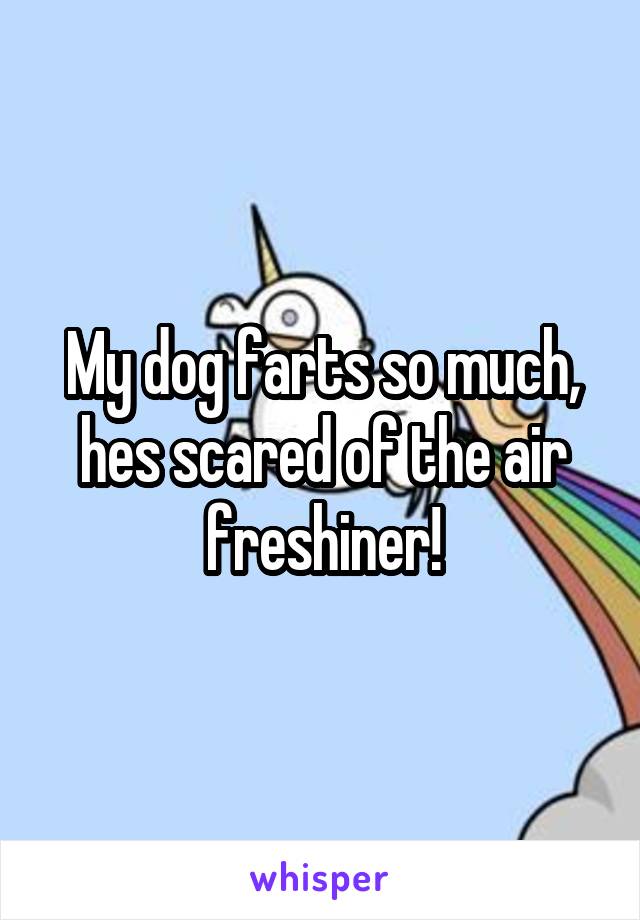 My dog farts so much, hes scared of the air freshiner!