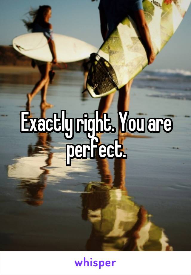 Exactly right. You are perfect.