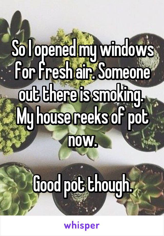 So I opened my windows for fresh air. Someone out there is smoking.  My house reeks of pot now.

Good pot though.