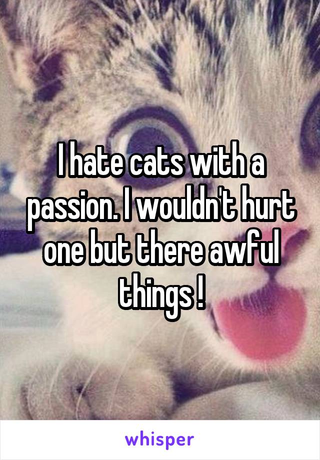 I hate cats with a passion. I wouldn't hurt one but there awful things !