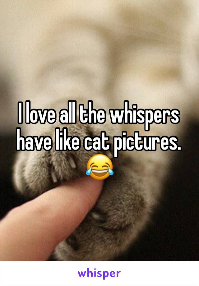 I love all the whispers have like cat pictures. 😂