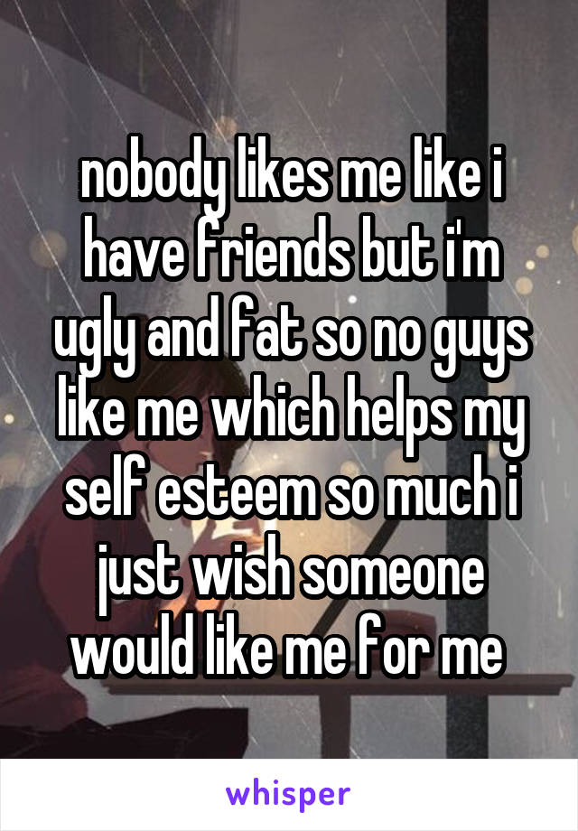 nobody likes me like i have friends but i'm ugly and fat so no guys like me which helps my self esteem so much i just wish someone would like me for me 