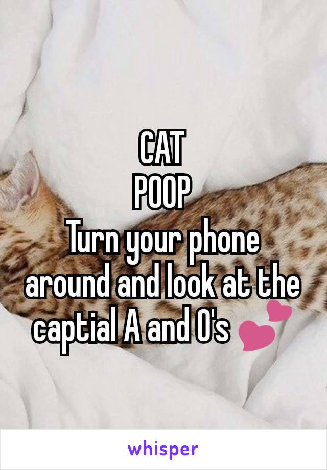CAT
POOP
Turn your phone around and look at the captial A and O's 💕