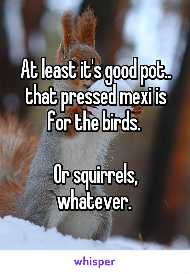 At least it's good pot.. that pressed mexi is for the birds. 

Or squirrels, whatever. 