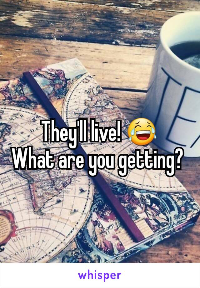 They'll live! 😂
What are you getting? 